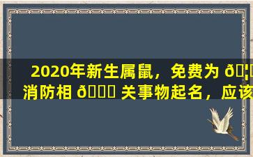2020年新生属鼠，免费为 🦟 消防相 🐈 关事物起名，应该叫什么好
